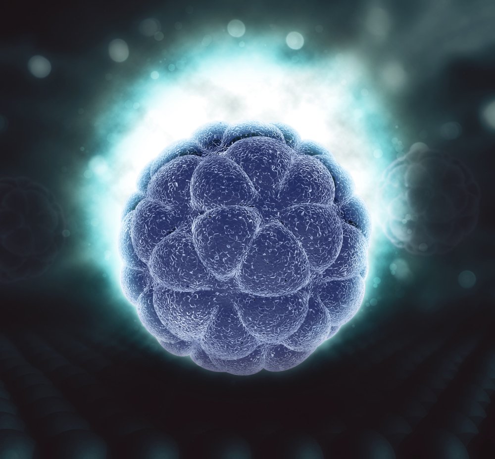 A healthy cell releasing exosomes that interact with neighbouring cells