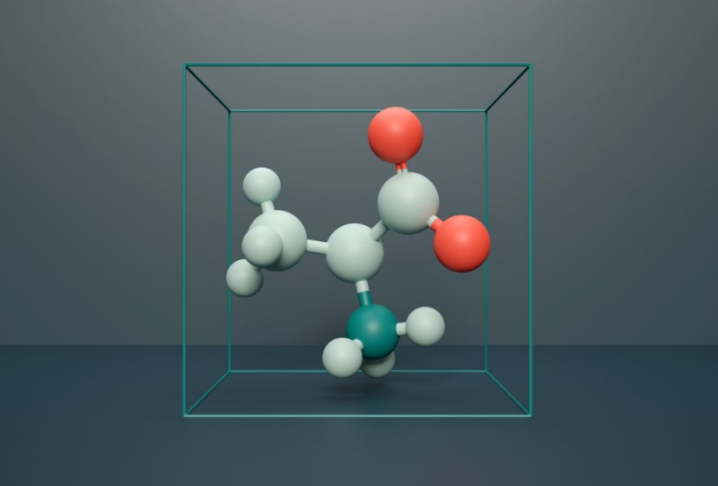 Amino Acids